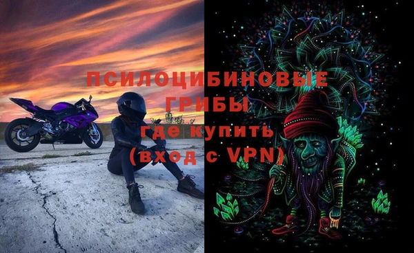 не бодяженный Алзамай