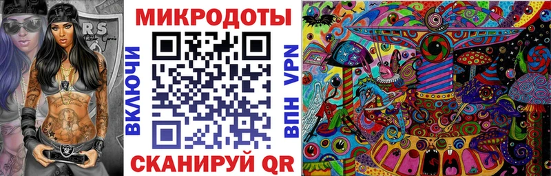 закладка  Гдов  Галлюциногенные грибы MAGIC MUSHROOMS 